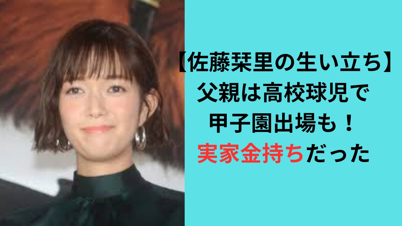佐藤栞里 実家 金持ち